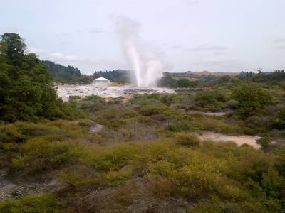 ROTORUA - parc Tehokowhitu-a-tu