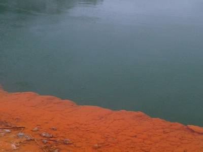 ROTUROA - parc Wai-o-tapu
