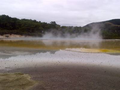 ROTUROA - parc Wai-o-tapu