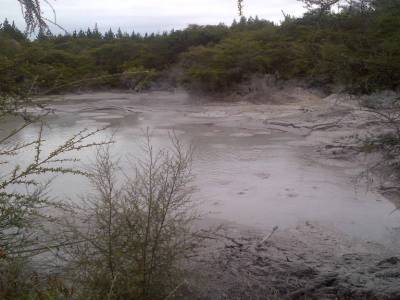 ROTUROA - parc Wai-o-tapu