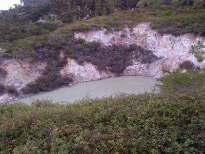 ROTUROA - parc Wai-o-tapu