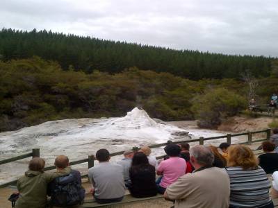 ROTUROA - parc Wai-o-tapu