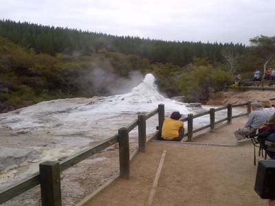 ROTUROA - parc Wai-o-tapu