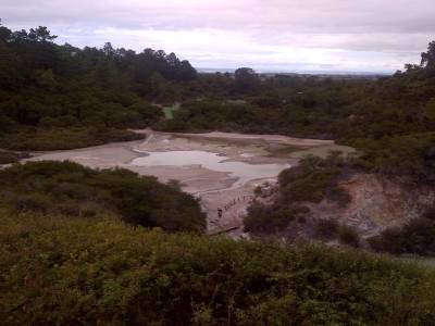 ROTUROA - parc Wai-o-tapu