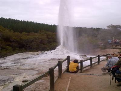 ROTUROA - parc Wai-o-tapu