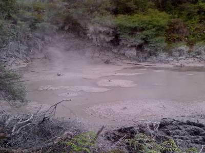 ROTUROA - parc Wai-o-tapu