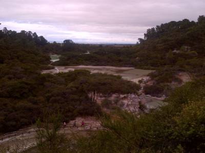 ROTUROA - parc Wai-o-tapu