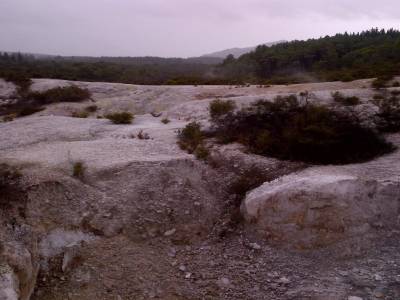 ROTUROA - parc Wai-o-tapu
