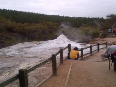 ROTUROA - parc Wai-o-tapu