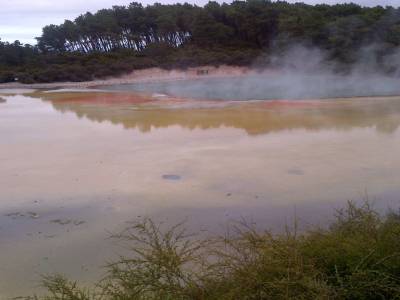 ROTUROA - parc Wai-o-tapu