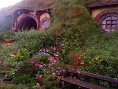 MATAMATA - Hobbiton