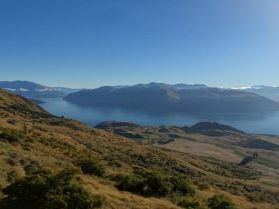 rando  du mont Roy (wanaka)