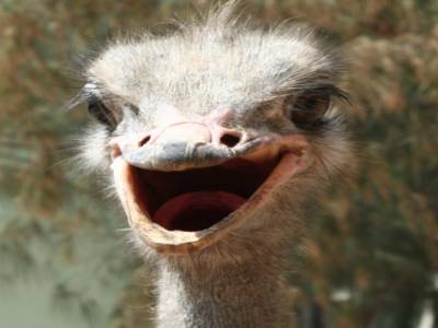 hey, salut!