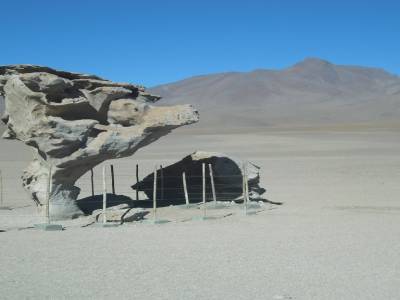 El arbol de piedra