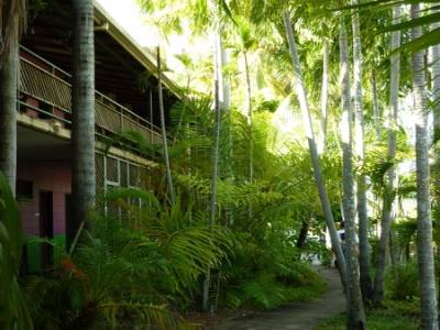 Rue Darwin