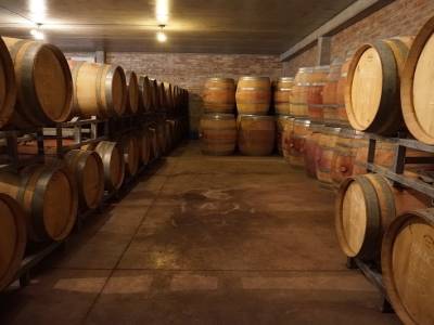 Visite de la bodega Carinae