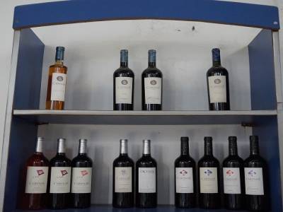 Visite de la bodega Carinae