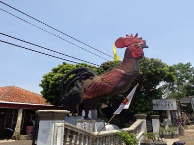 Memorial pour une bete de combat
