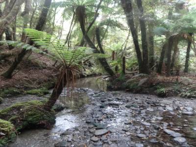 2 jours de trek avec piscine d eau chaude a l arivee