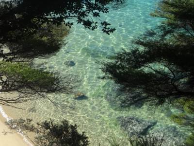2 jours de kayak et un jour de trek 