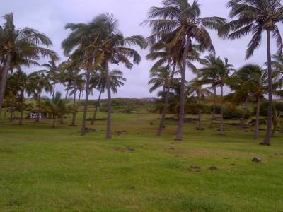 ILE DE PAQUES - la plage