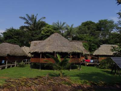 Cuyabeno - Amazonie