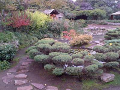 SANTIAGO - jardin japonais