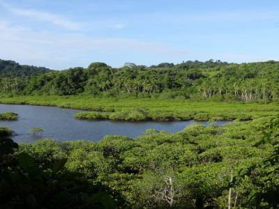 Coiba