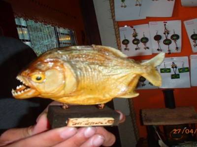 piranha