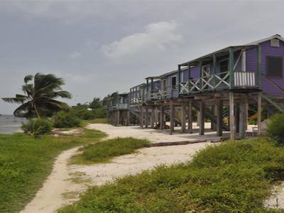 Cayer Caulker