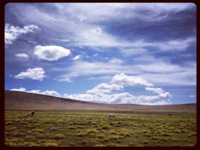 Bolivia 