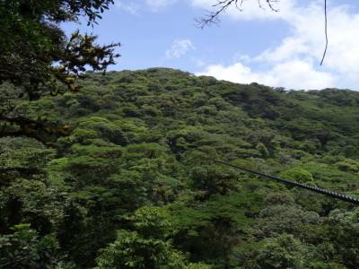 zipline