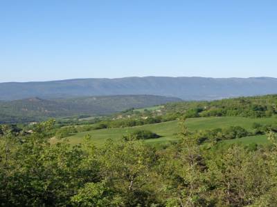 Luberon  , Vacheres