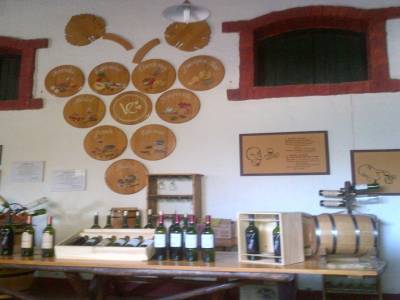 MENDOZA - visite des bodegas
