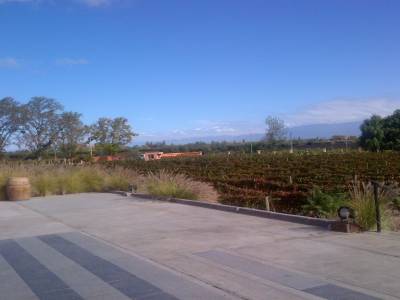 MENDOZA - visite des bodegas