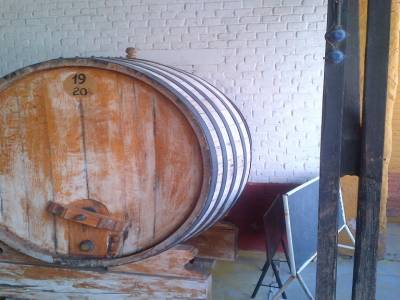 MENDOZA - visite des bodegas