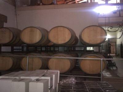 MENDOZA - visite des bodegas