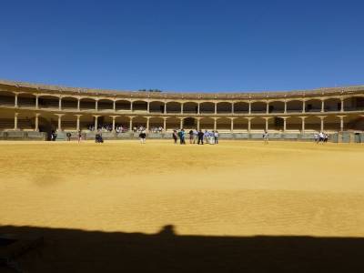 ARENE EVIDEMMENT