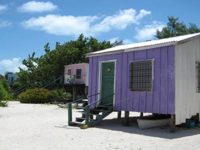 Cayer Caulker