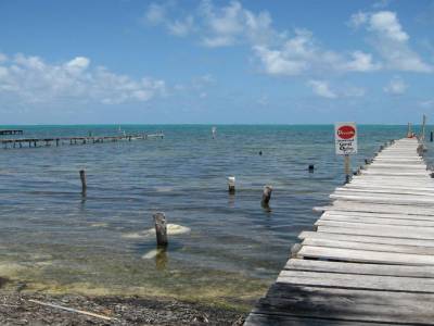 Cayer Caulker