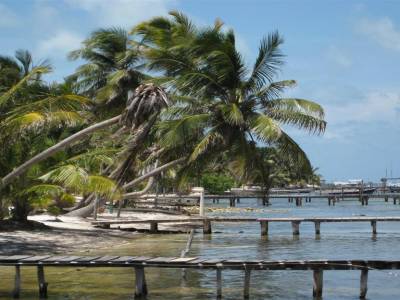 Cayer Caulker