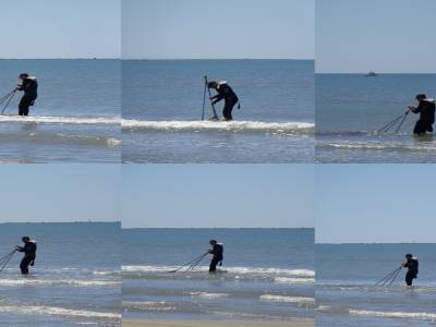 le ramasseur de coquillage