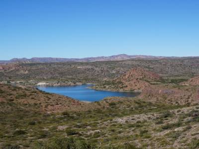 Los Reyunos