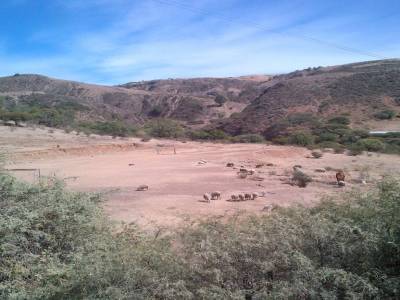 SUCRE - visite de la périphérie