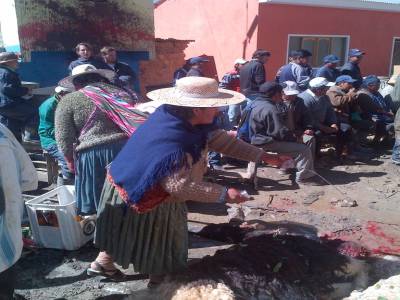 POTOSI - sacrifice de lama