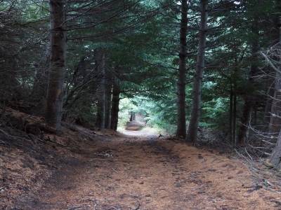Cerro Otto