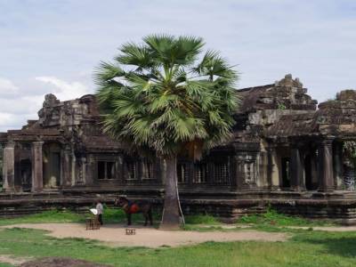 Angkor Vat