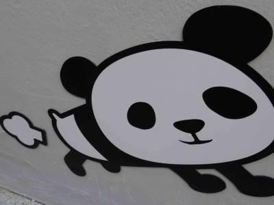 pandas à HK