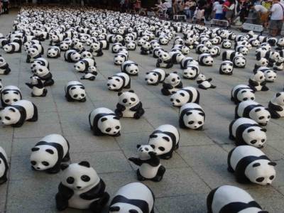 pandas à HK