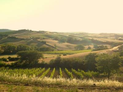 Panorama de la campagne toscane